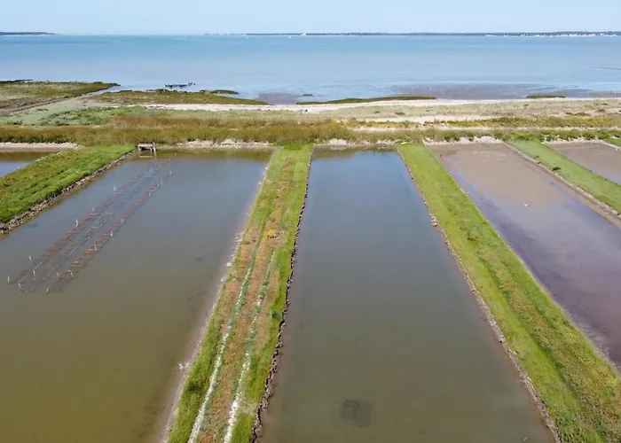 Vakantiehuis La Maison Sur La Marennes (Charente-Maritime)