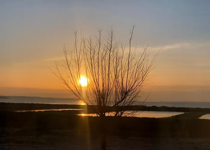 Vakantiehuis La Maison Sur La *